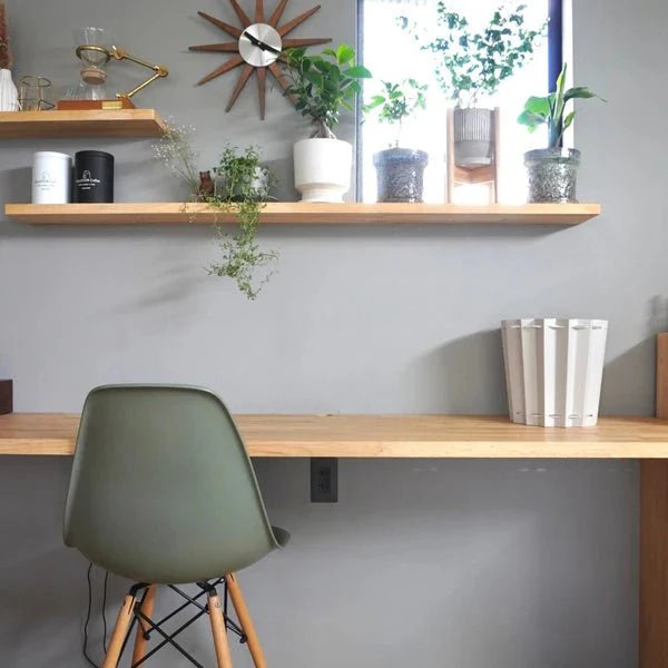 ZIGZAG BOX / TAISEI