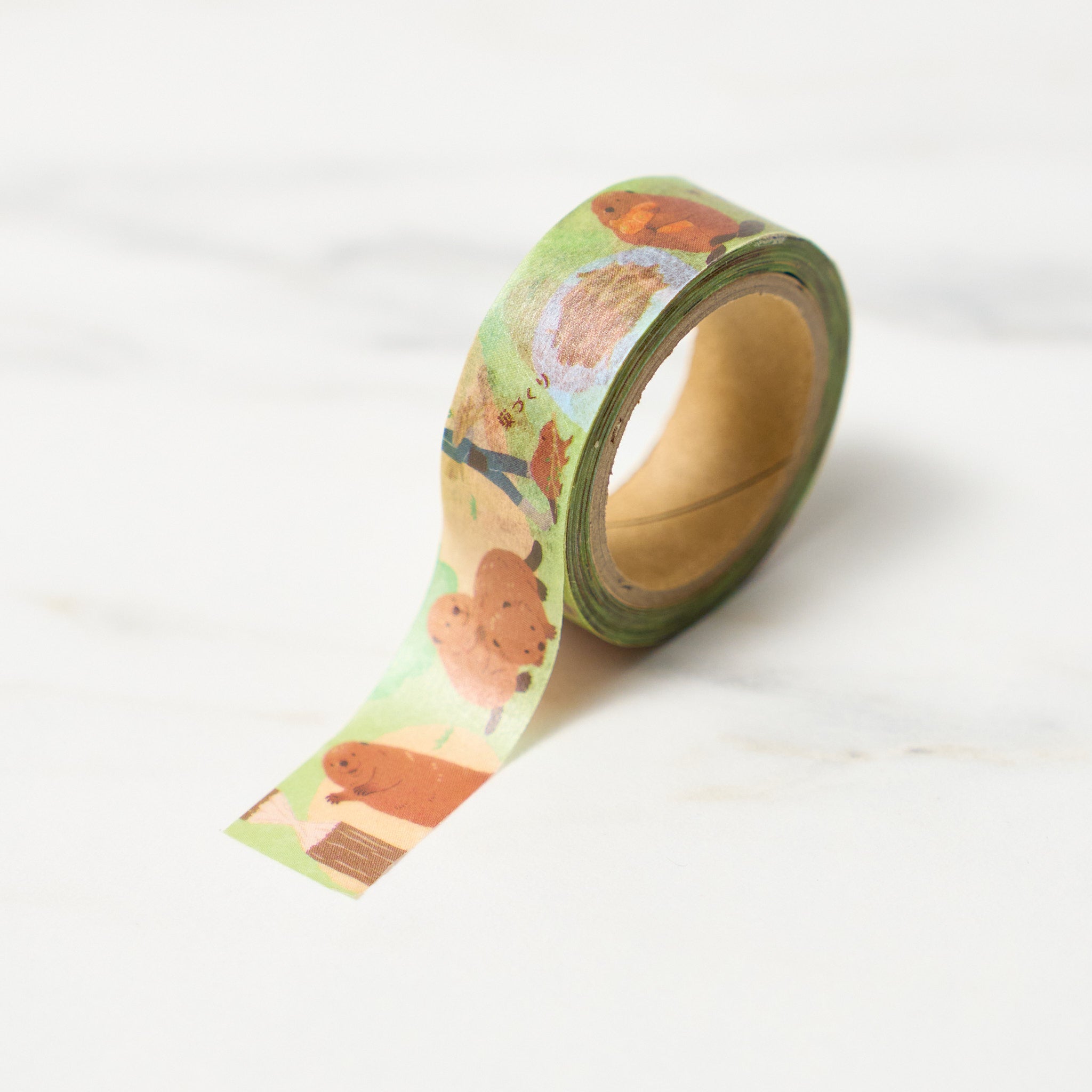 Zoom in Animal Masking Tape / NB